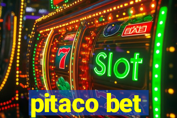 pitaco bet